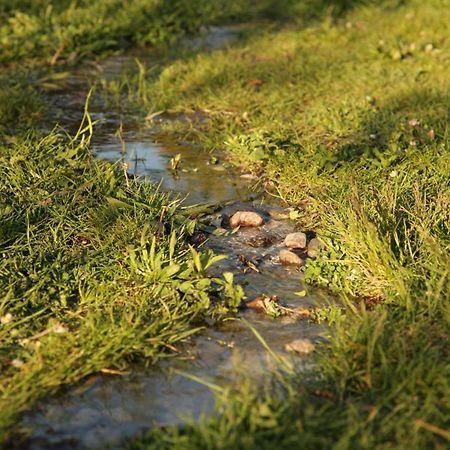 Grosse Wohnung / Haushaelfte In Peetzig Am See Angermunde Zewnętrze zdjęcie