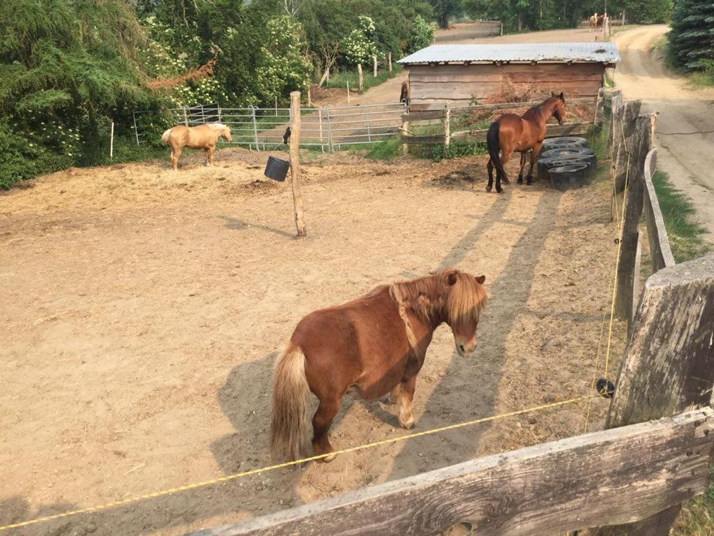 Grosse Wohnung / Haushaelfte In Peetzig Am See Angermunde Zewnętrze zdjęcie